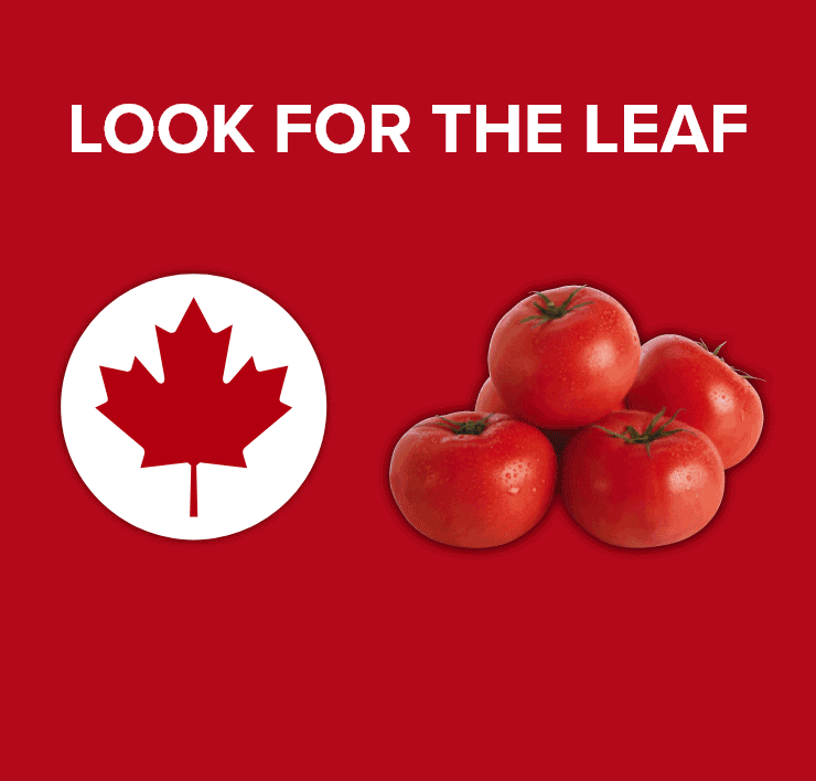 Look for the Leaf