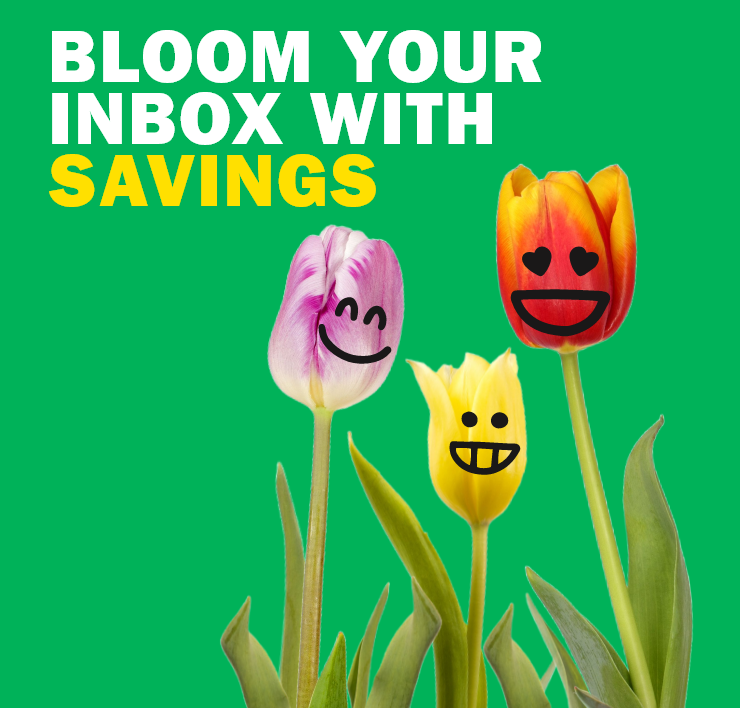 Bloom your inbox with savings