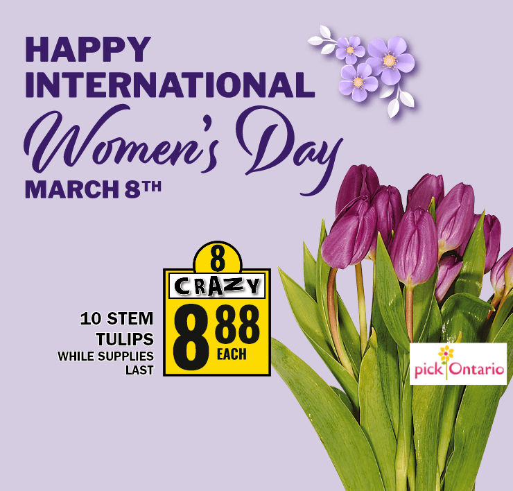 Happy international Women's Day - March 8th - 10 stem tulips while spplies last - Pick Ontario