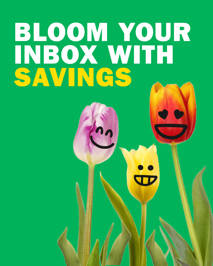 Bloom Your Inbox With Saving