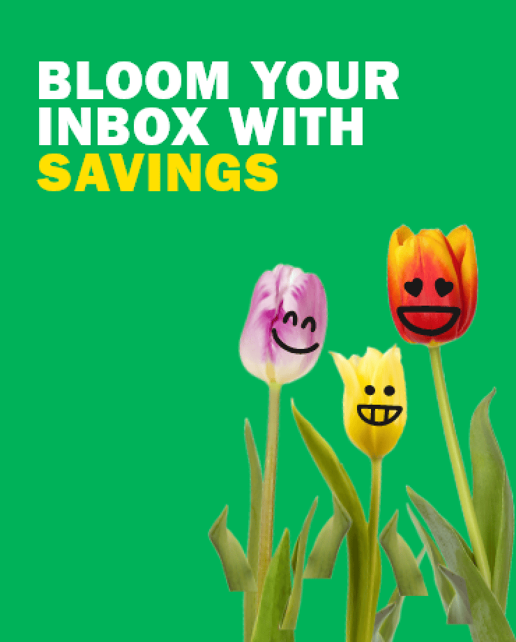 Bloom Your Inbox With Saving