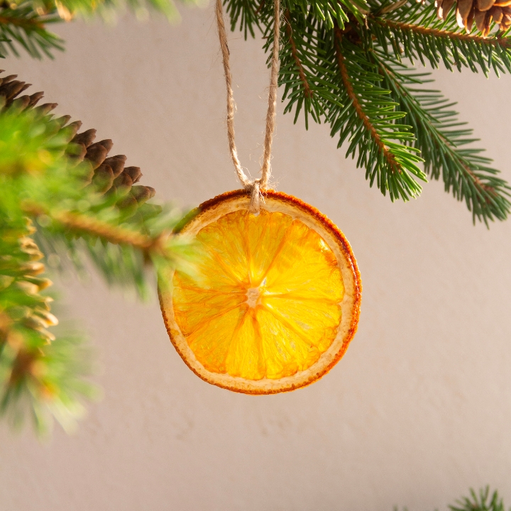 Easy Dried Citrus Holiday Decorations